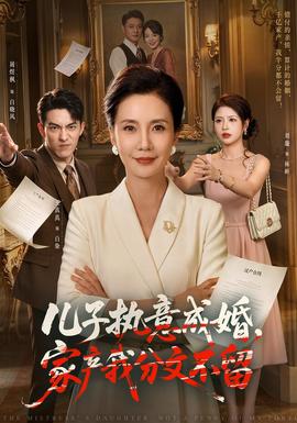 兒子執意成婚,家產我分文不留海報