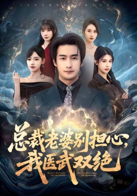 總裁老婆別擔心,我醫武雙絕海報