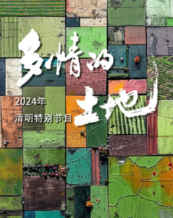 2024多情的土地海報
