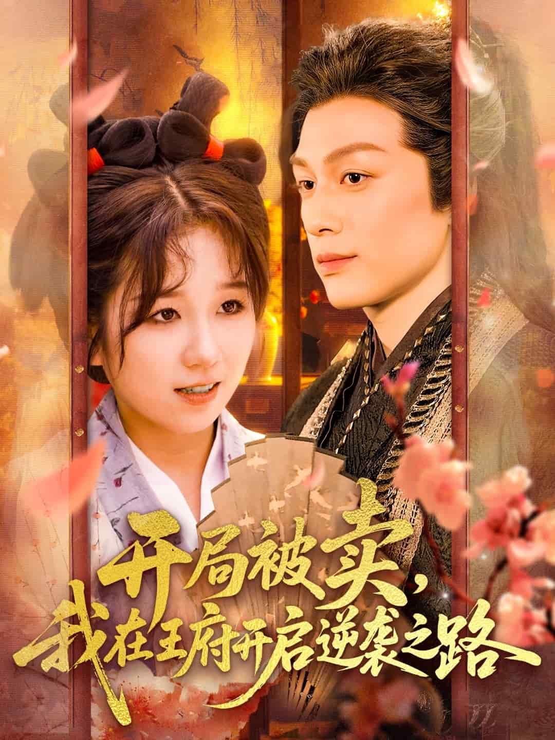 開局被賣我在王府開啟逆襲之路海報