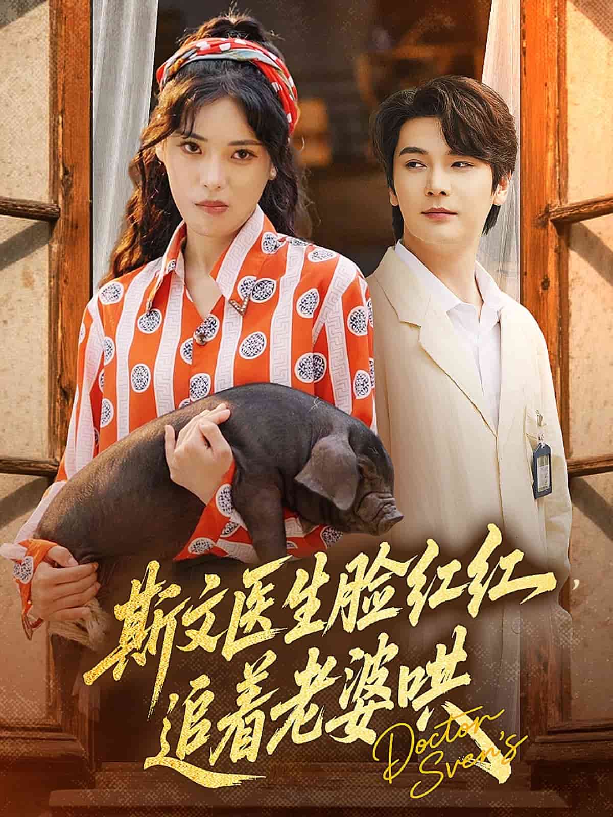 斯文醫生臉紅紅追著老婆哄海報