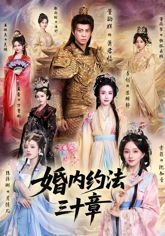婚內約法三十章海報