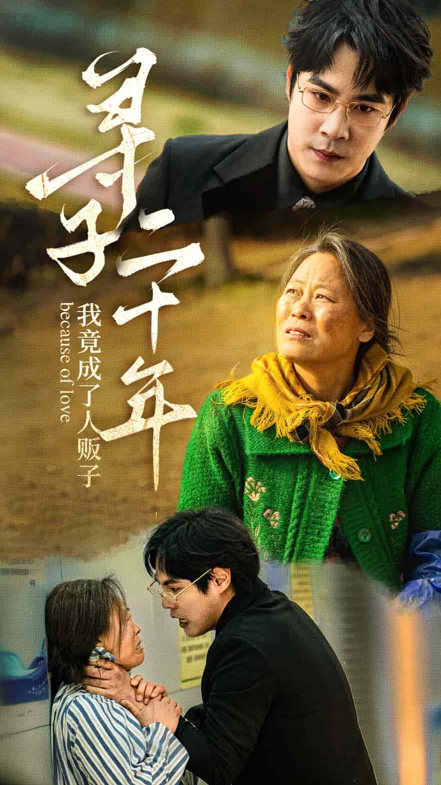 尋子二十年我竟成了人販子海報