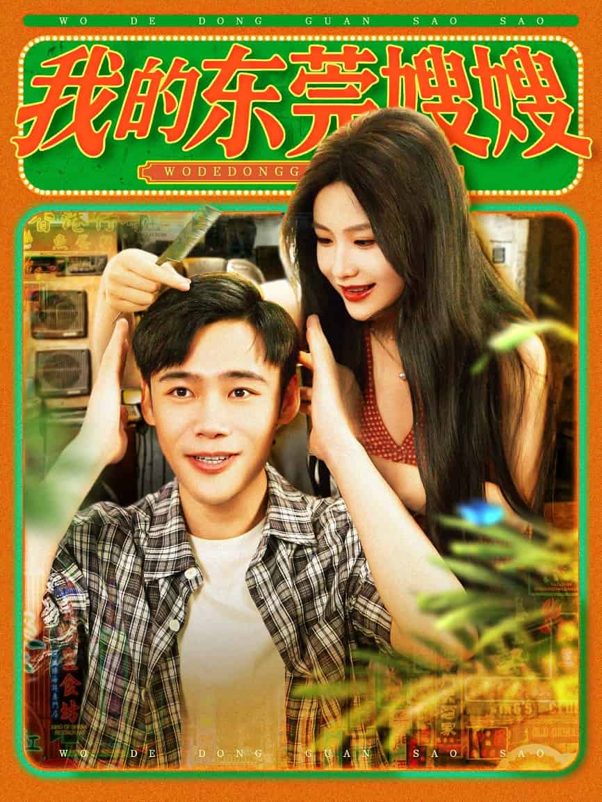 我的東莞嫂嫂海報