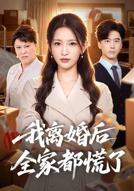 我離婚後全家都慌了海報