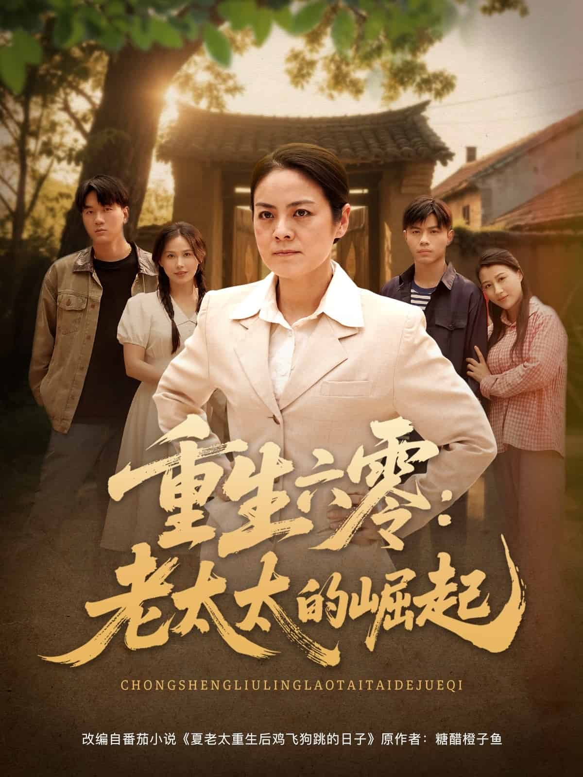 重生六零:老太太的崛起海報