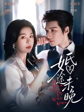 婚途未晚海報