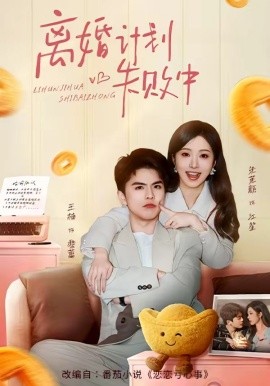 離婚計劃失敗中海報