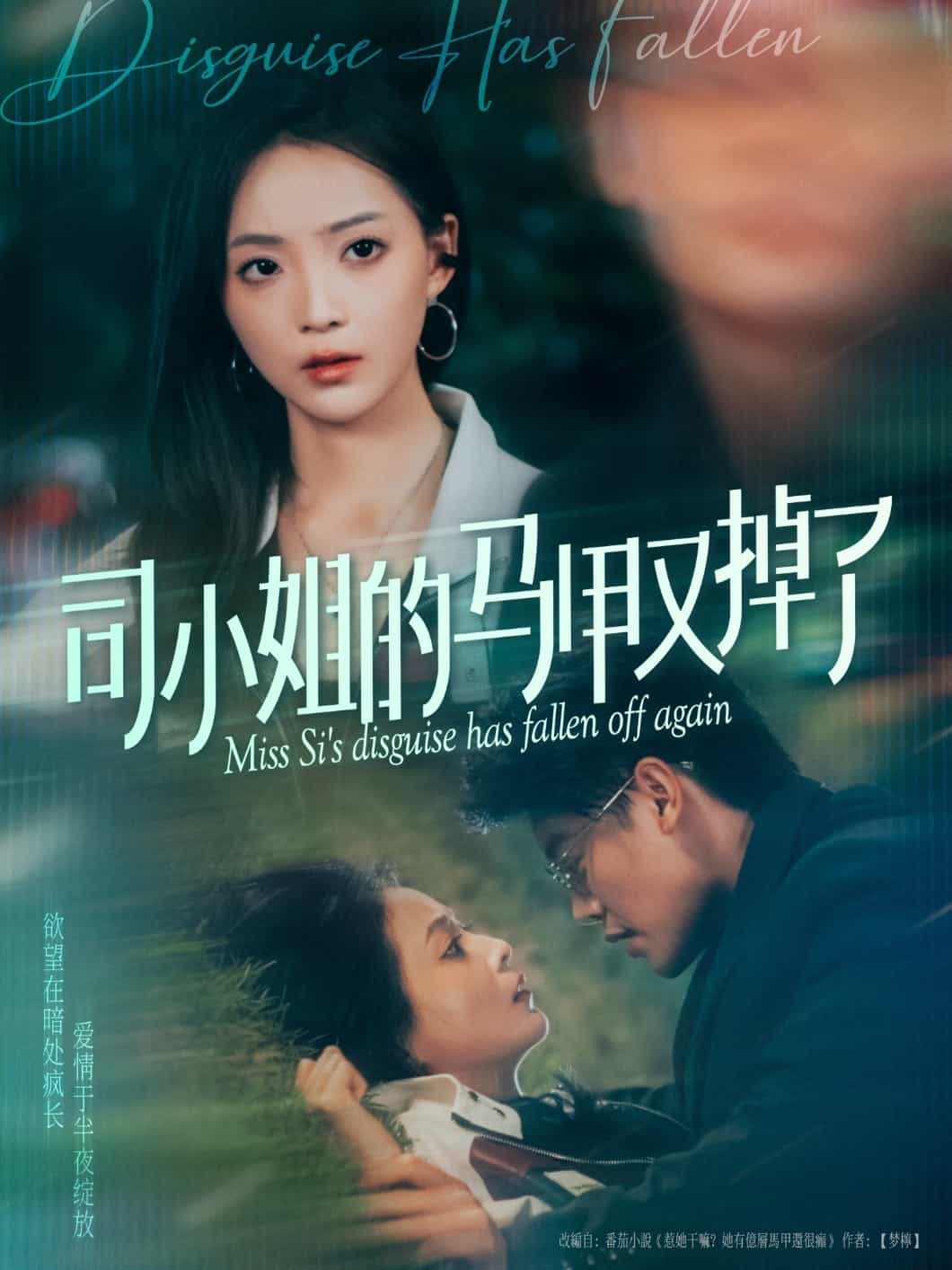 司小姐的馬甲又掉了海報