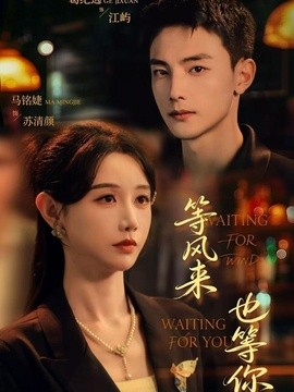 等風來,也等你海報
