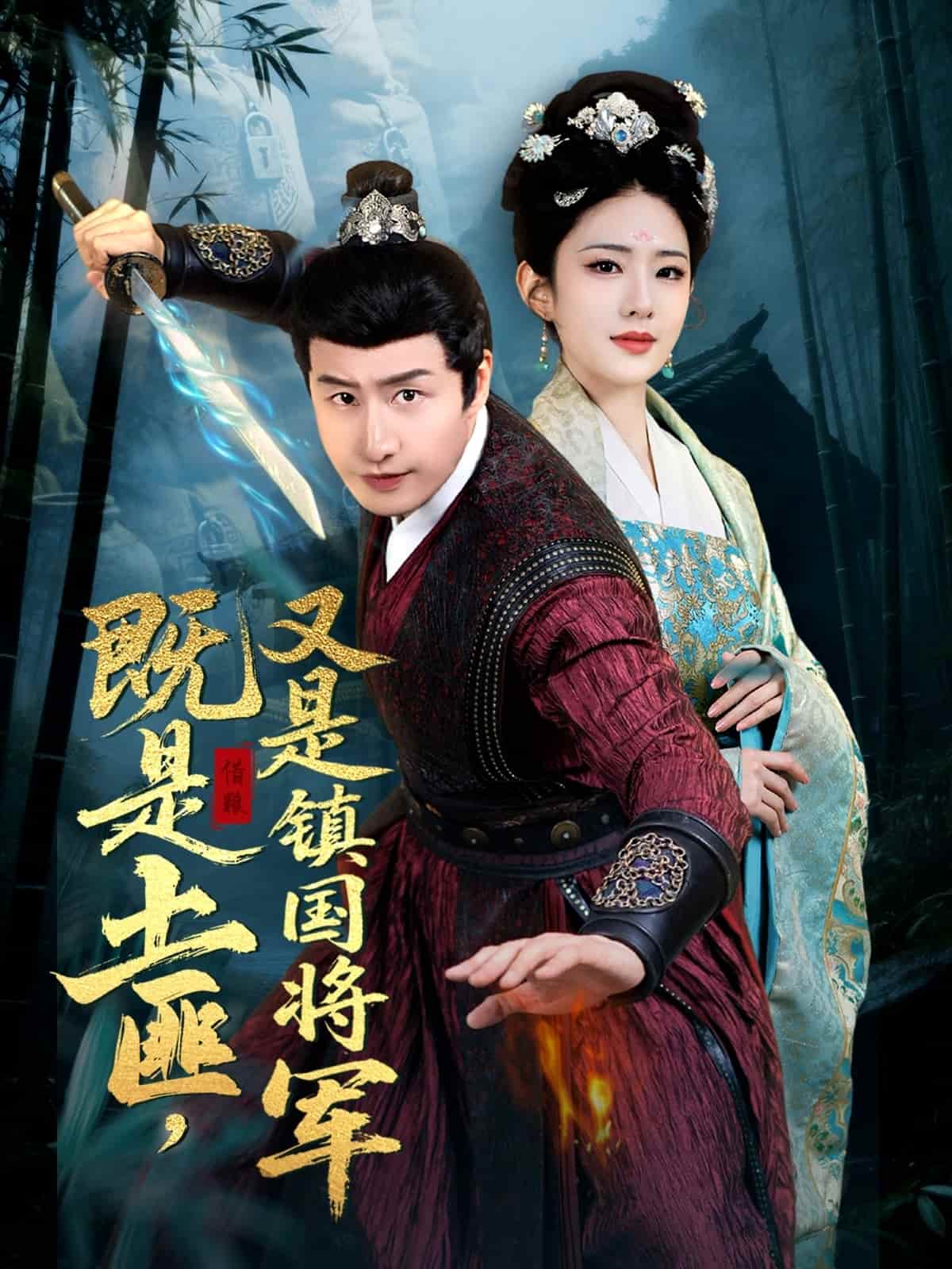 既是土匪,又是鎮國將軍海報
