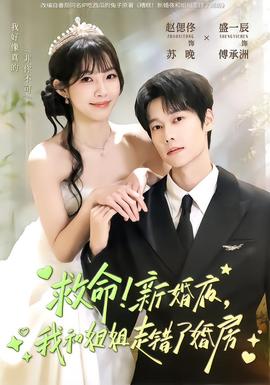 救命!新婚夜,我和姐姐走錯了婚房海報