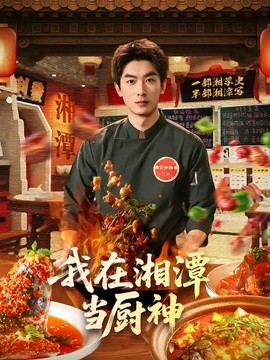我在湘潭當廚神海報