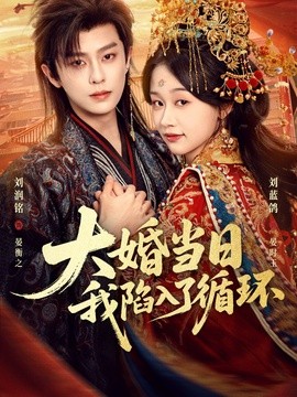 大婚當日,我陷入了迴圈海報