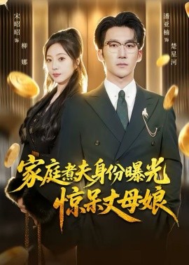 家庭煮夫身份曝光驚呆丈母孃海報