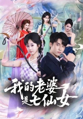 我的老婆是七仙女海報