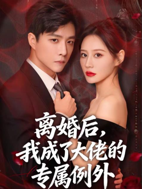離婚後,我成了大佬的專屬例外海報