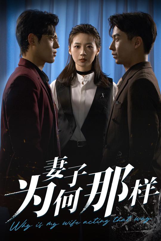 妻子為何那樣海報