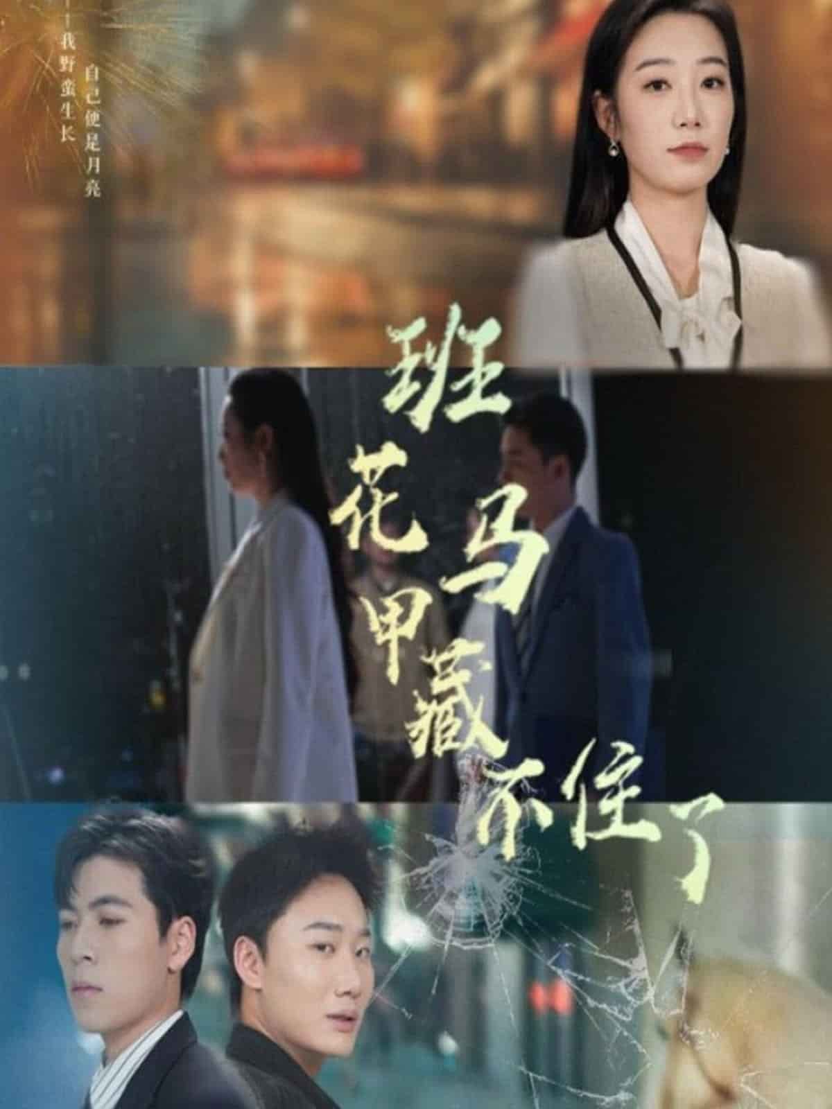 班花馬甲藏不住了海報
