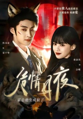 危情月夜:霍總他變成狼了海報