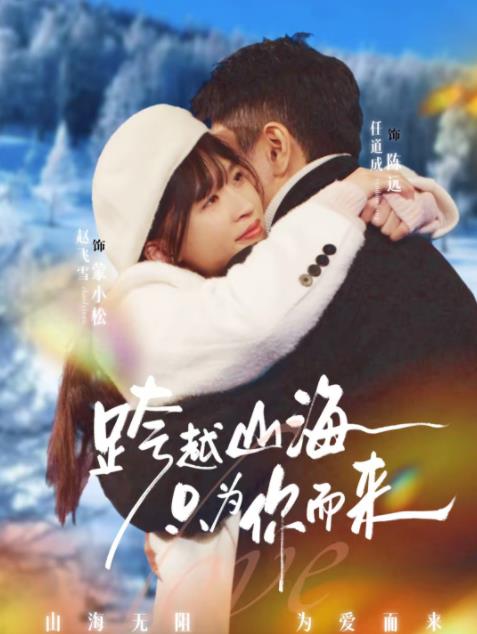 跨越山海只為你而來海報
