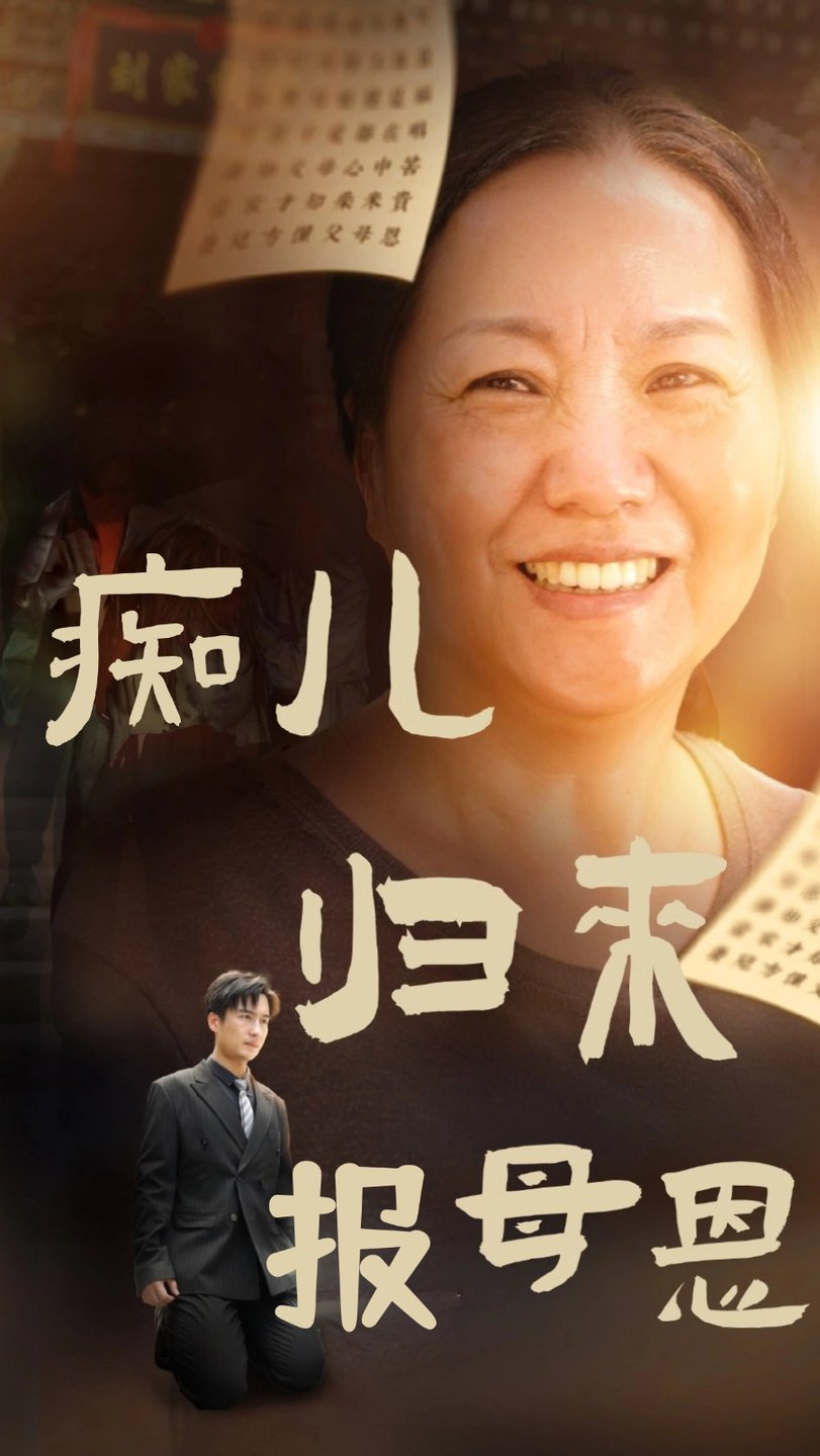 痴兒歸來報母恩海報
