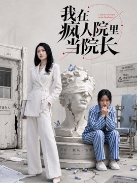 我在瘋人院裡當院長海報