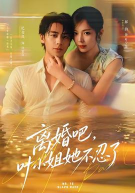 離婚吧,葉小姐她不忍了海報