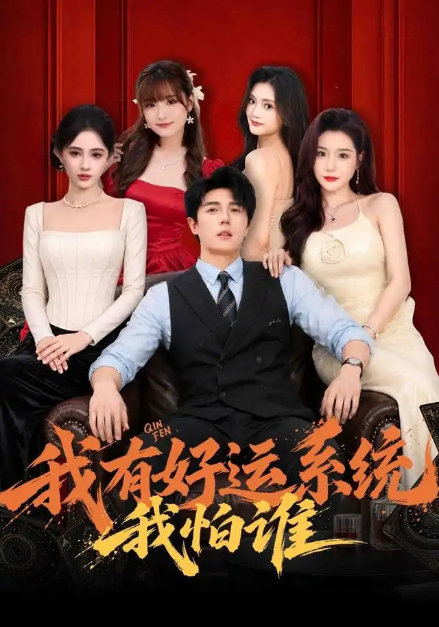 我有好運系統我怕誰海報