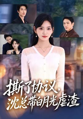 撕了協議,沈總帶白月光虐渣海報