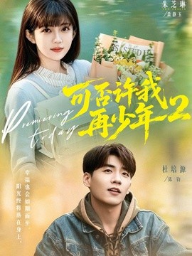 可否許我再少年2海報