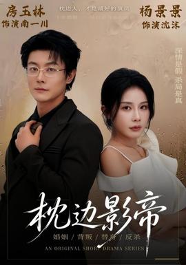 枕邊影帝海報