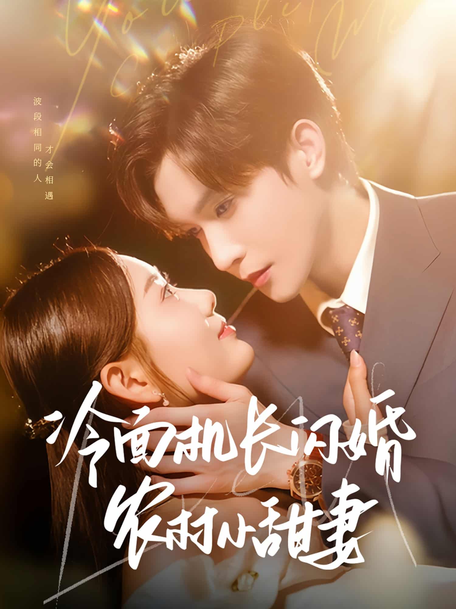 冷麵機長閃婚農村小甜妻海報