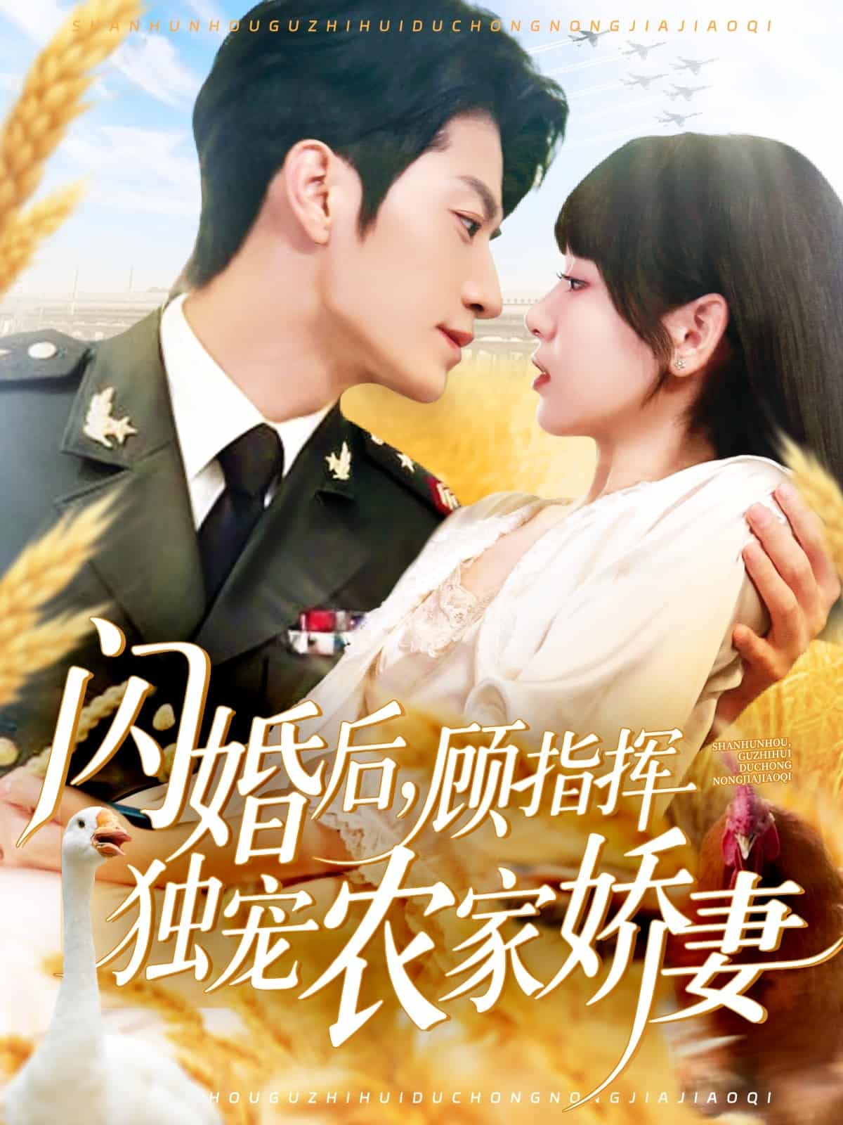 閃婚後顧指揮獨寵農家嬌妻海報