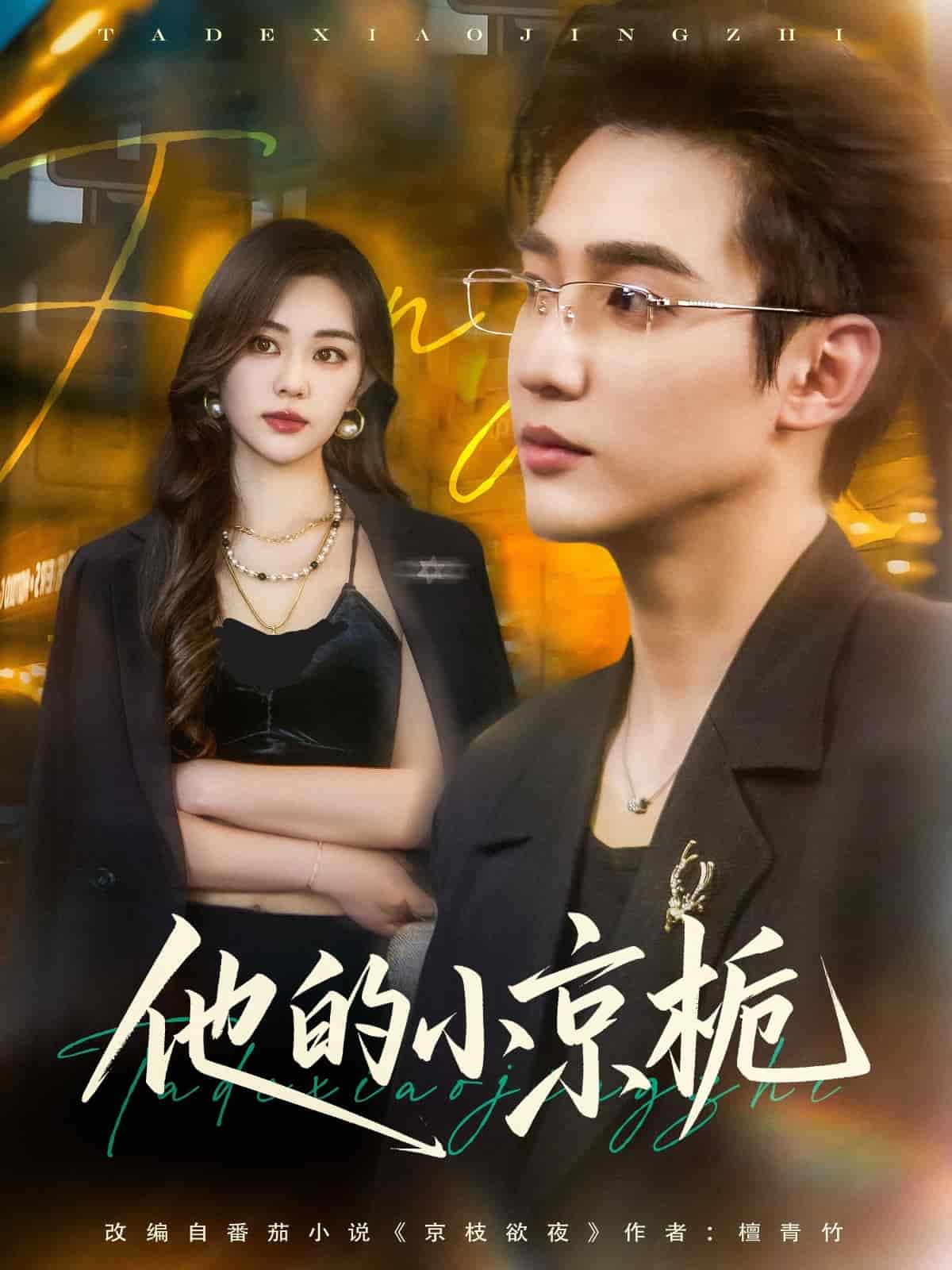 他的小京梔海報