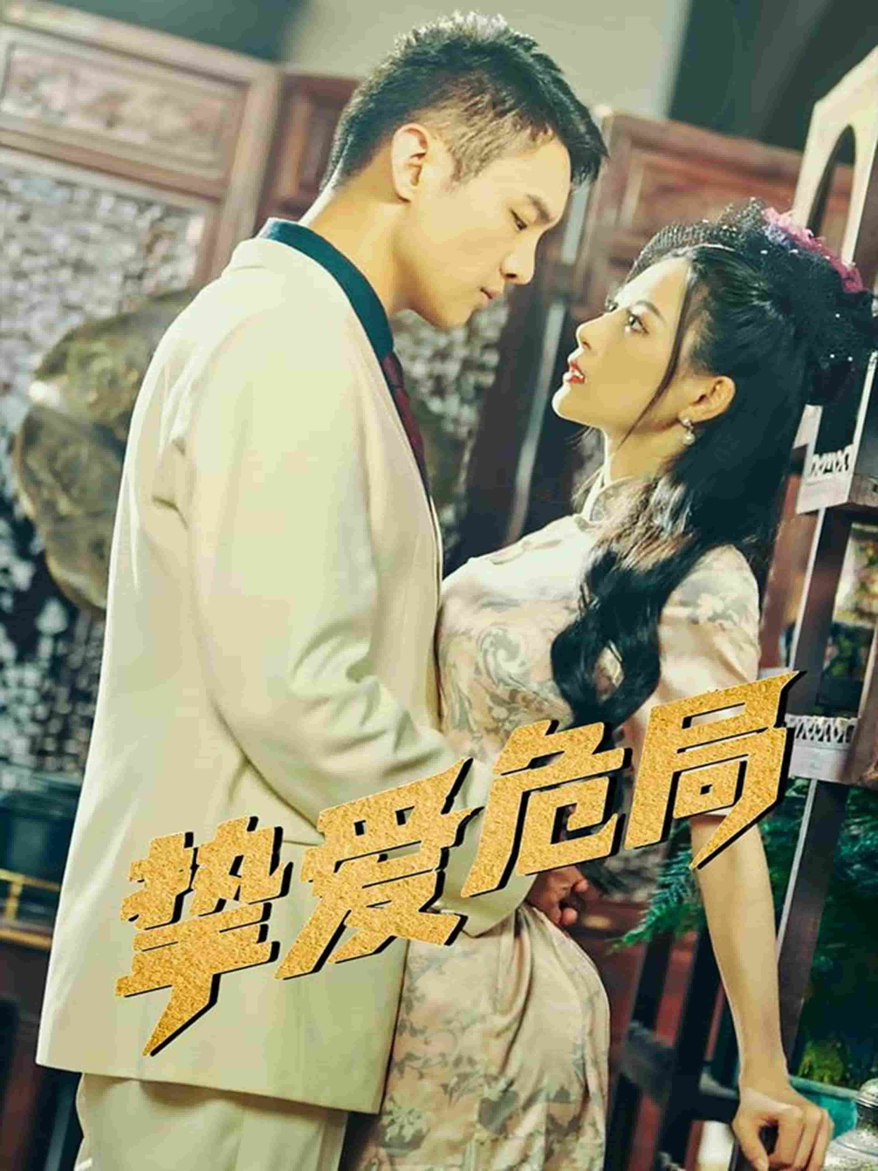 摯愛危局海報