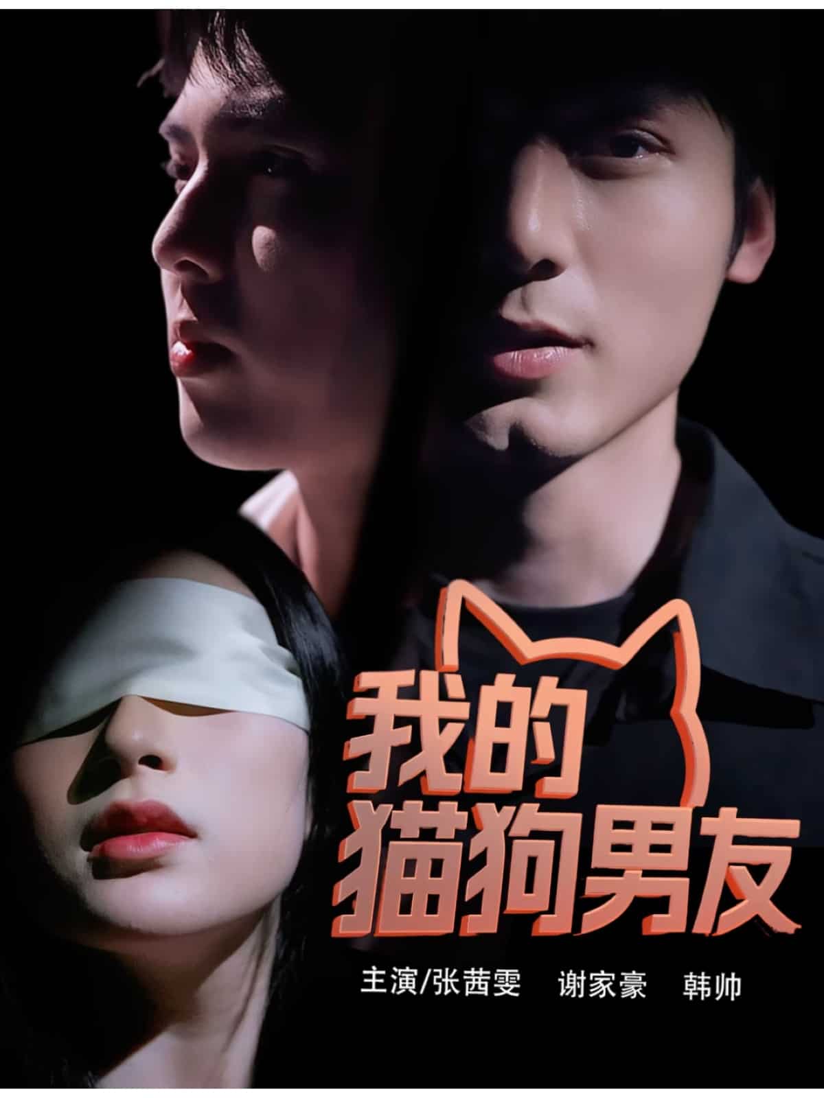 我的貓狗男友海報