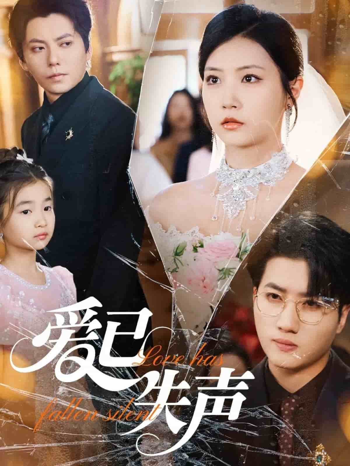 愛已失聲海報