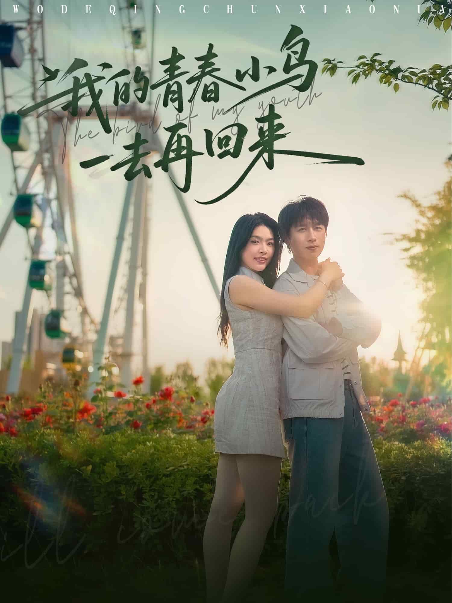 我的青春小鳥一去再回來海報
