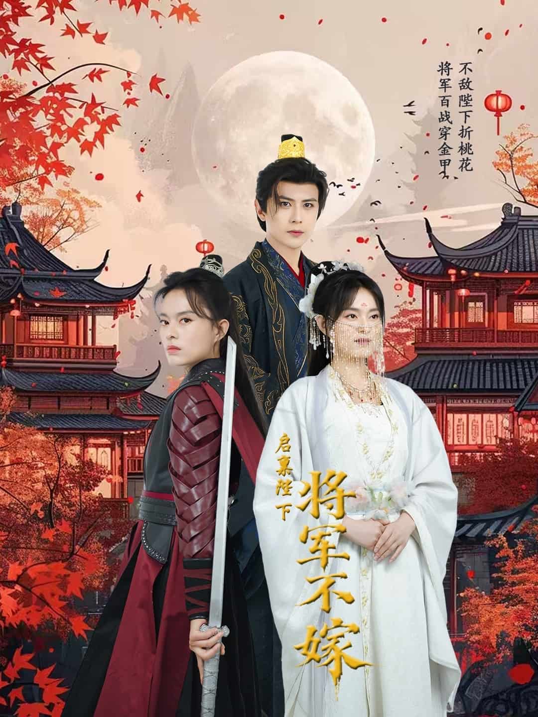 啟稟陛下將軍不嫁海報