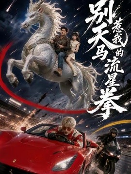 別惹我的天馬流星拳海報