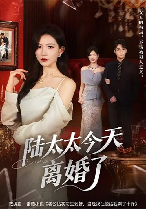 陸太太今天離婚了海報