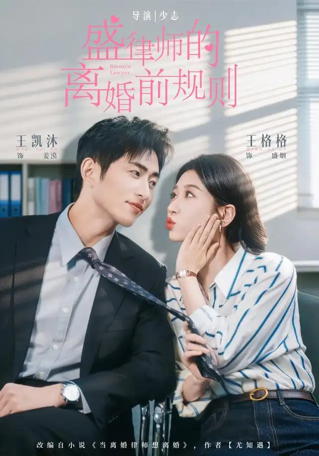 盛律師的離婚前規則海報
