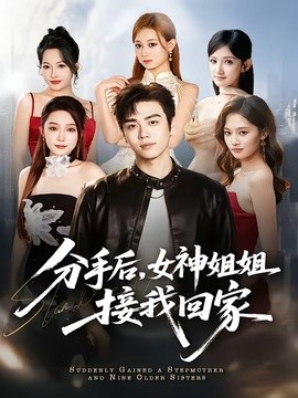 分手後,女神姐姐接我回家海報