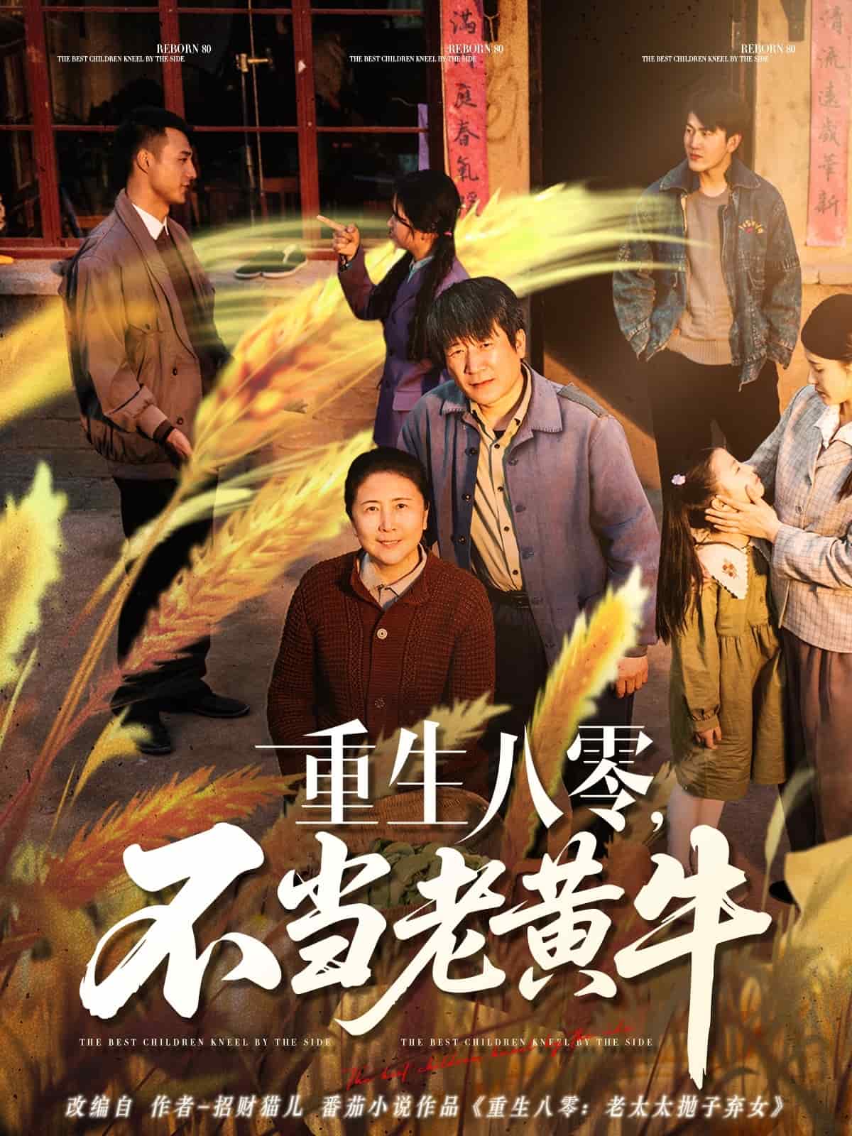 重生八零,不當老黃牛海報