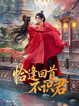 恰逢回首不識君海報