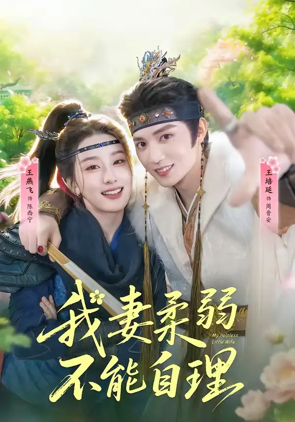 我妻柔弱不能自理海報