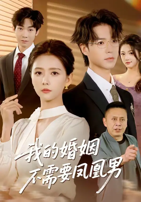 我的婚姻不需要鳳凰男海報