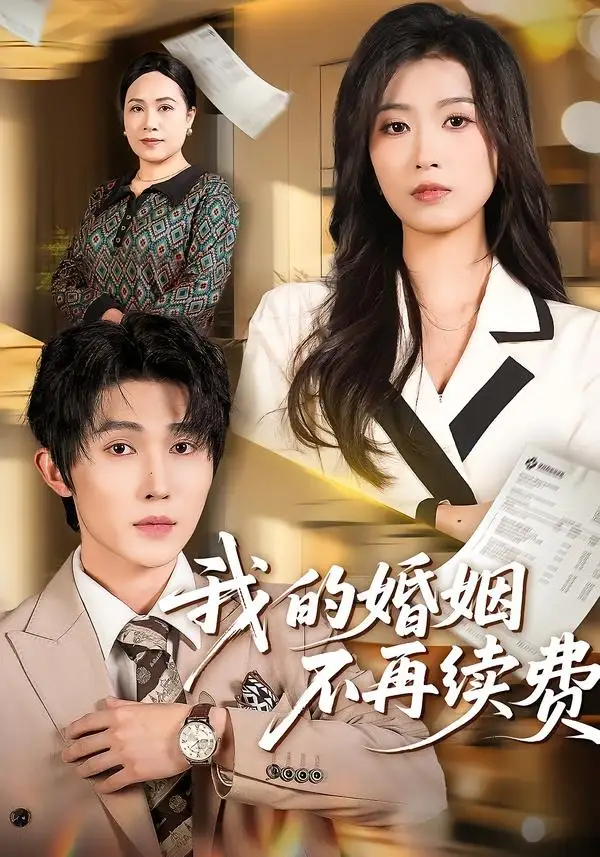 我的婚姻不再續費海報