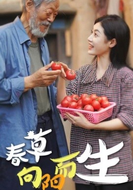 春草向陽而生海報